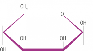 Mannose slows down tumor growth and increases chemo-sensitivity